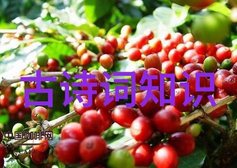 主题文章标题