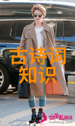 古诗词历史我和那些遥远的诗人的故