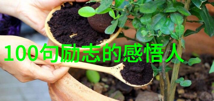 名人名言50条听我来分享这些精辟的生活智慧吧