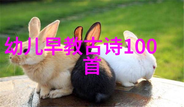 沉香散发解读葬花吟的哀愁与生机