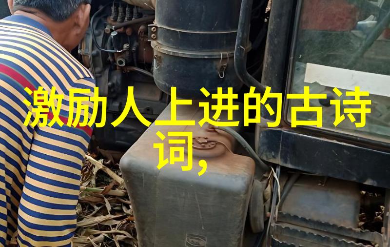 春雨中绽放的梦想