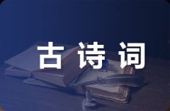 古诗词成语初中化学知识