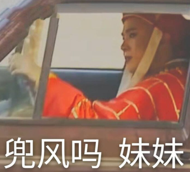 古诗谐音句子_谐音古诗_古诗谐音诗/