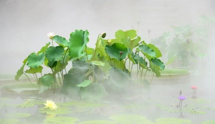 古诗词中的历史知识_诗词历史故事_古诗词历史