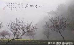 唐诗三百首被遗忘的经典这是白居易