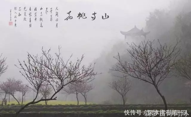 唐诗300首第一首古诗是什么_古诗300首唐诗三百首_唐诗三百首古诗大全300首